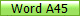 Word A45