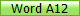 Word A12